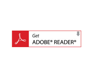 Adobe Acrobat Reader DC Version 2100520058 Installer